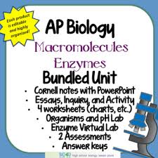 ap biology macromolecules and enzymes bundled unit by bio4u