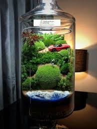 Moss Terrarium With Car Terrarium Garden Terrarium Succulent Terrarium