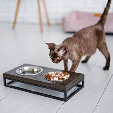 Cat Bowls Stand For Water And Food Wooden Feeder For Modern Etsy In 2020 Cat Bowl Stand Cat Bowls Dog Bowl Stand