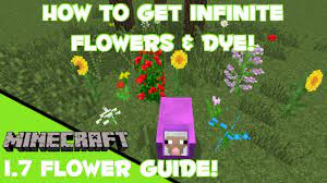 They can be used to make dyes, but are also very pretty! Minecraft Infinite Flower Dye Farm Youtube