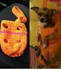 Te Huur Kamers Feestzaal Adli Kullanicinin Kopek Kedi Dog Cat Hond Kat Panosundaki Pin Evcil Hayvan Aksesuarlari Hayvan Giysileri Evcil Hayvan Kiyafetleri