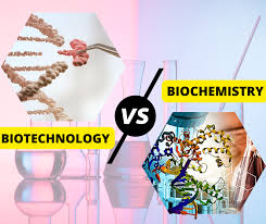 Sự Khác Biệt Chính Giữa Hóa Sinh (BioChemistry) và Công Nghệ Sinh Học  (Biotechnology)