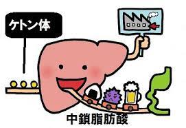 物忘れ 改善に効果的 更年期にも役立つ ココナッツオイル