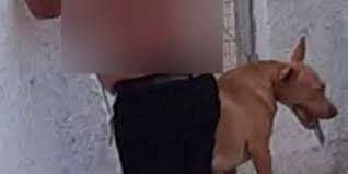 Στο αυτό το τμήμα της ιστοσελίδας μας μπορείτε να ενημερώνεστε για τα τελευταία νέα από γενικό προξενείο στουτγάρδης, να μάθετε για τις παρεχόμενες υπηρεσίες, να διαβάσετε για το γενικό πρόξενο και το προσωπικό της. Krhth 55xronos Kakopoihse Frikta Skylo Sta Xania Ton Kremase Kai Toy Ekopse Toys Orxeis Ton Anazhta H El As Ellada Iefimerida Gr