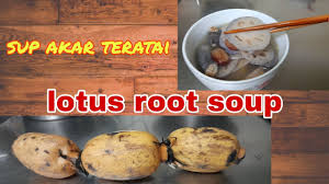 Ingin lebih mengenal bunga teratai? Lien O Thang Lotus Root Soup Taiwanese Food Sup Akar Teratai Ala Taiwan èŽ²è—•æ±¤ Youtube
