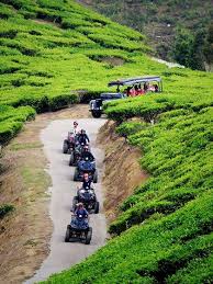 Inilah taman kaktus yang terdapat di brinchang. 8 Lokasi Instagrammable Di Cameron Highlands Yang Patut Anda Lawati Lifestyle Rojak Daily