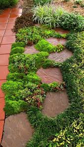 Mixed Sedums For Container Roof With Mediterranean Or Mountain Hanging Rosemary Beautiful Gardens Plants Garden Design