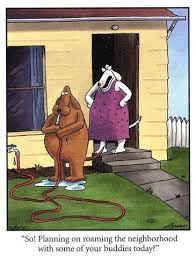 Dog Water Hose Far Side Gary Larson Cartoons Far Side Cartoons Funny Cartoons