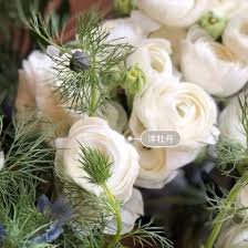 Love rose my flower pretty flowers flower art romantic roses beautiful roses pink roses pink flowers austin rosen. China Embellish Flowers For Wholesales And Retail Fresh Cut Flower Paeonia Suffruticosa Peony For Decoration China Paeonia Suffruticosa Peony And Fresh Cut Flower Price