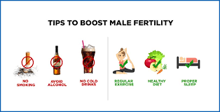 Tips To Increase Male Fertility