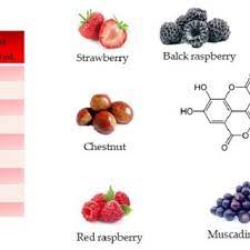Structure And Main Foods That Contain Ellagic Acid According To The Download Scientific Diagram