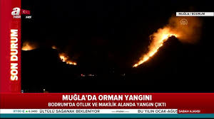 Yol ulaşıma kapandı 19:29 açık cezaevi izinleriyle ilgili yeni. Son Dakika Bodrum Da Korkutan Yangin Ahaber Son Dakika Video Izle