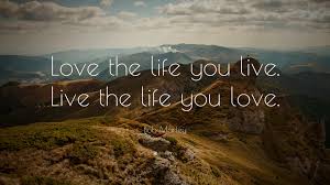 100 Inspirational Quotes That Will Make You Love Life Again Pin them to pinterest, save them as your phone background, print them out and hang them up! 100 inspirational quotes that will make