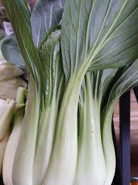 Maybe you would like to learn more about one of these? Fresh Pak Choi And Fennel In Garden Of Eden Killorglin Facebook