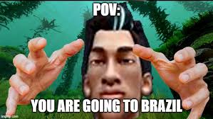 Noo I Don T Want To Go To Brazil R Memes