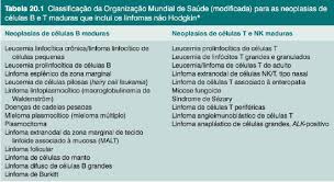 Ele é o local onde habitam as células imunológicas como: Linfoma Nao Hodgkin Hematologia