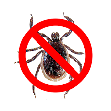 S k pest elimination, llc wants to help you and your business stay clean of all pests and the violations that come along with them. Mosquito Stop Llc Pest Control Exterminators North Haven Ct