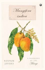 Image result for Mangifera indica