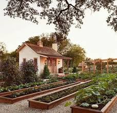Launch a real vegetable garden for healthy food. Stunning Vegetable Garden Ideas Family Food Garden Backyard Vegetable Gardens Backyard Vegetable Garden Design