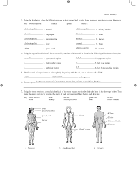 Identify the main muscles of the body, using the accompanying diagram; Anatomy Review Sheet Kcpc Org
