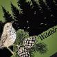15th Annual Wildbird Recovery Fall Migration Festival