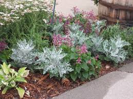 Pin By Kelly Brumbaugh On Flower Garden Perennial Garden Flower Garden Perennials