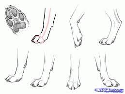 Image Result For Drawing Dog Paws Dog Paw Art Dog Paw Drawing Canine Drawing Watch more how to draw cute puppies, pets, and animals on my art channel fun2draw.