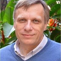 PDF) Árvores nos Salmos. Elementos para uma educação espiritual e ambiental