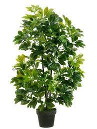 This Gorgeous Artificial Schefflera Tree Is Made Of A Durable Uv Rated Synthetic Rubber Sh Artificial Plants Outdoor Small Artificial Plants Artificial Plants