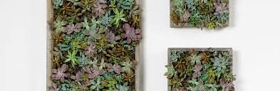 Bathroom decor canvas wall art framed wall decoration modern gallery wall decor print white flower in blue bottle theme picture artwork for walls ready to hang for kitchen bedroom decor size 14x14 4.5 out of 5 stars 2,304 How To Make A Succulent Wall Garden Proflowers