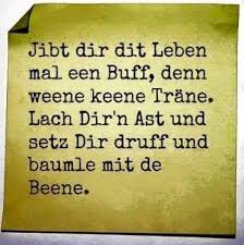 Neon 2 Spruche Witzige Spruche Tolle Worte