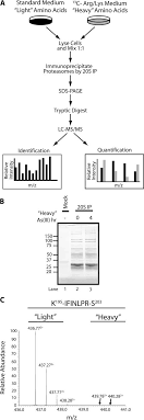 Thioredoxin-related Protein 32 Is an Arsenite-regulated Thiol Reductase of  the Proteasome 19 S Particle*