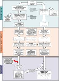 fig s1 flowchart of vaccine formulation storage and