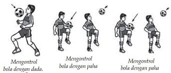 Teknik mengontrol bola dalam sepak bola. Teknik Dasar Sepak Bola Ssb Percita