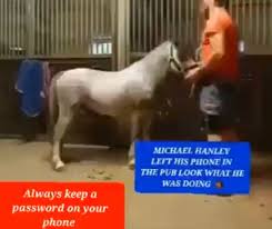 Peter Dredd on X: Viral video of a horse f*cking a man causes stir on X 😳  🤮🤮 Check comments for video t.coodnfpl0rbp  X