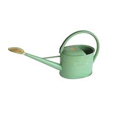 Haws Slimcan 5 Liter Galvanized Painted Watering Can With Oval Rose Sage V134s Galvanized Haws Liter Oval Pai In 2020 Watering Can Metal Watering Can Watering