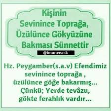 Anlamli Hayat Ve Sozler Panosundaki Pin