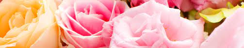 ﻿ ﻿ publicado por flowers by julie no hay comentarios Flowers By Julie Florist Alnwick Order Online 01665 602354