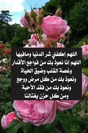 pin by taki mariam on i love allah quran islam the prophet miracles hadith heaven prophets faith prayer dua حكم وعبر احاديث الله اسلام قرآن دعاء islam arabic english quotes arabic quotes