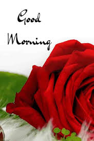 Best Good Morning Hd Images Wishes Pictures And Greetings Good Morning Love Messages Good Morning Images Good Morning Images Hd