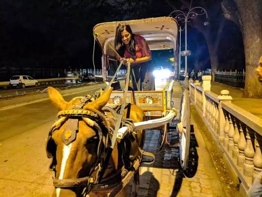 An unexpected trip to Mysore - Tripoto