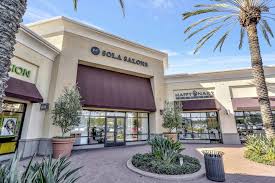 Image result for Solanecio sp.no.1