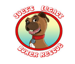 We did not find results for: Joey S Legacy Boxer Rescue News Anyway