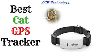 A good tracker for your kitty should be comfortable and lightweight, so your furry friend doesn't even realize it's there. Best Cat Gps Tracker 2019 Youtube