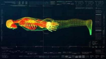 Multi-Scale Avatar EHR Visualization, AI generated