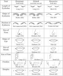 Recessive Dominant Trait Activity Biology Classroom