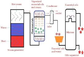 Exercise 3 (Steam Distillation) | Download Free Pdf | Distillation | Steam