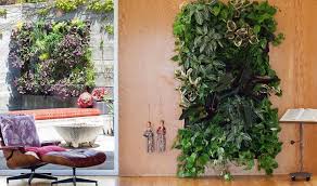 Pflanzenwand Selber Bauen Das Wichtigste Know How Fur Den Wandgarten