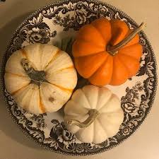 Check spelling or type a new query. Small Pumpkins For Sale At Burt S Farm Are Cheaper Than At My Local Walmart And Grocery Store Picture Of Burt S Farm Dawsonville Tripadvisor