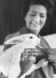 507 Norman Snow Stock Photos, High-Res Pictures, and Images